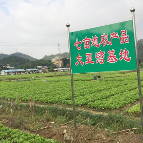 种植基地4种植基地深圳市葡萄视频APP官网下载安装农产品实业有限公司